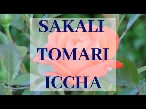 Bengali Sakali tomari iccha (English lyrical)- Shyama Sangeeth - Mataji Song