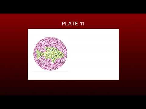 TEST YOURSELF - COLOR BLIND CHILD TEST