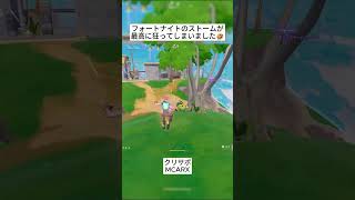 フォートナイトのストームが最高に狂ってしまいました🤣 #フォートナイト #fortnite #shorts