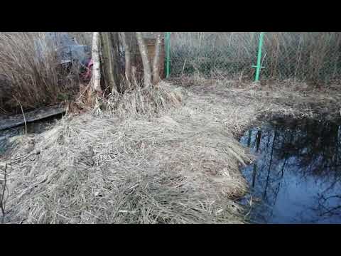 В моей жизни есть всё! И огород, и дети, мономакр и абьюзер! Живём дальше!