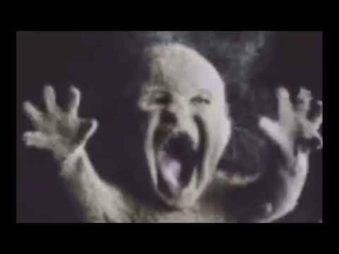 Brian hl2 stalker screams at baby (meme)