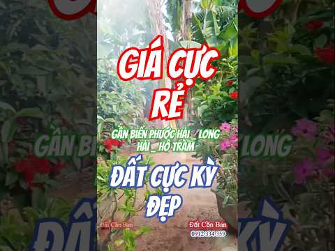 Bán gấp giá rẻ miếng đất cực đẹp gần biển Phước Hải _ Hồ Tràm _ Long Hải