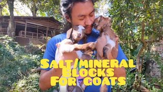 salt block for goats - Himalayan salt lick - minerals for goats