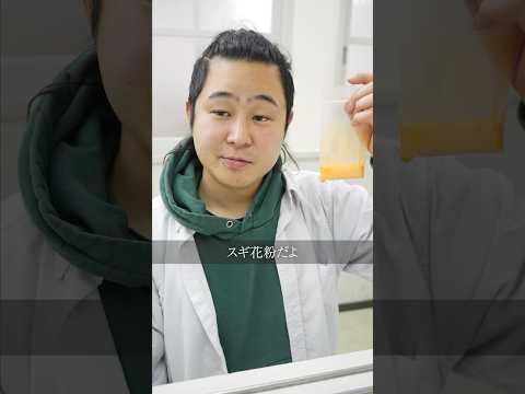 学校教育学科 商売のために花粉をばら撒くドケチ男#shorts #コント#ドラマ