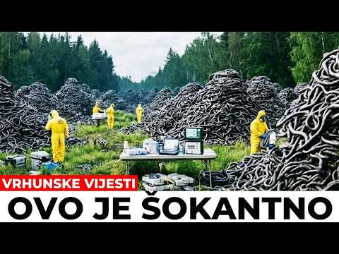 OVA NOVA SNIMKA IZ FLORIDA EVERGLADESA POKAZUJE NEŠTO NA ŠTO NITKO NIJE BIO SPREMAN