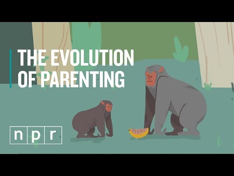 The Evolution of Parenting in a Few Minutes