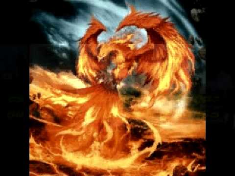 mc danilo cometa a fenix