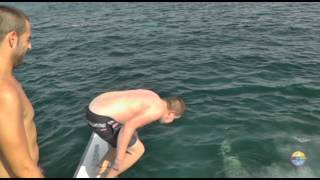 Ibiza Sea Party 2972012  fiestas en barco en ibiza  ibiza boat party