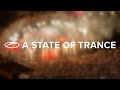 MaRLo - Megalodon