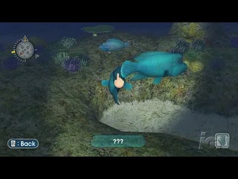 Endless Ocean Nintendo Wii Video - Night Dive