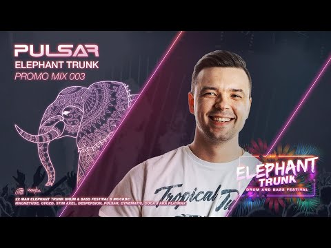 DIMA PULSAR - Elephant Trunk promo mix 003 (2021)