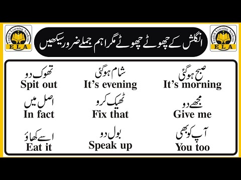 80 Daily Use English Speaking Practice Sentences With Urdu Translation | Daily Use English Sentences