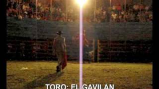 preview picture of video 'El Gavilán'