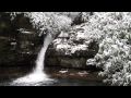 East TN Snow Storm Mov