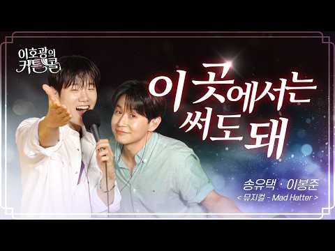 이곳에서는 써도 돼(이호광의 커튼콜)