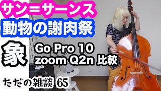 Download lagu （65）サン＝サーンス 動物の謝肉祭「象」GoPro10/zoom Q2nカメラ比較 〜ただの雑談 mp3