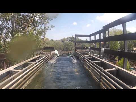 Silver River Flume