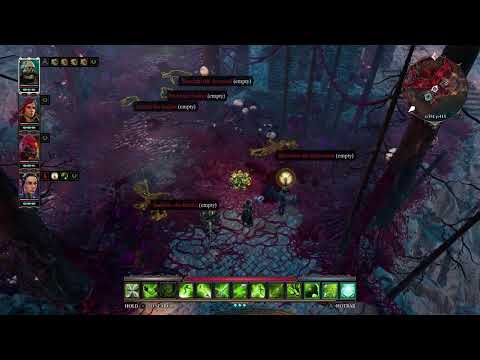 Divinity Original Sin 2 pt 31