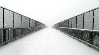 Bad Religion - Progress