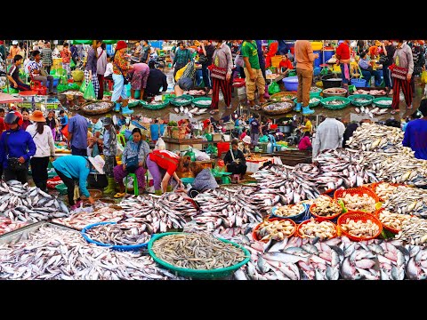 World's largest fish distribution site only available in Cambodia