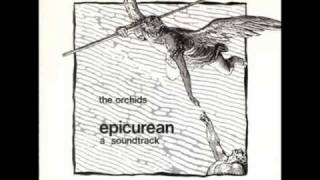 The Orchids - Bemused, Confused and Bedraggled(Audio).wmv