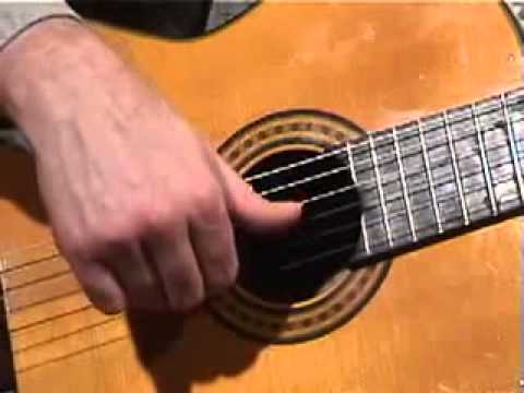 Beginner Guitar Lesson 8