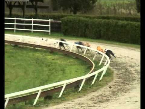 2010 European Derby Sprint Trophy Consolation