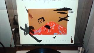 Laurie Anderson - Excellent Birds