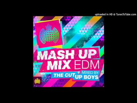 Beam (Dannic Mix), Summertime Sadness (Acapella)