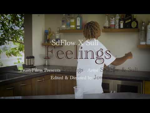 SDFLW x Suli - Feelings  (Official Music Video)
