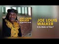 Joe Louis Walker "Is It a Matter of Time?" {Official Audio}
