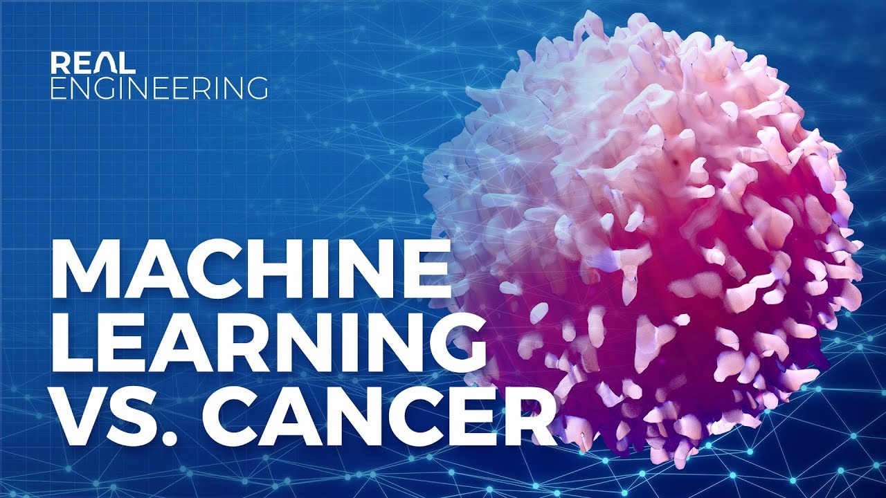 How Machine Learning Transforms Cancer Research