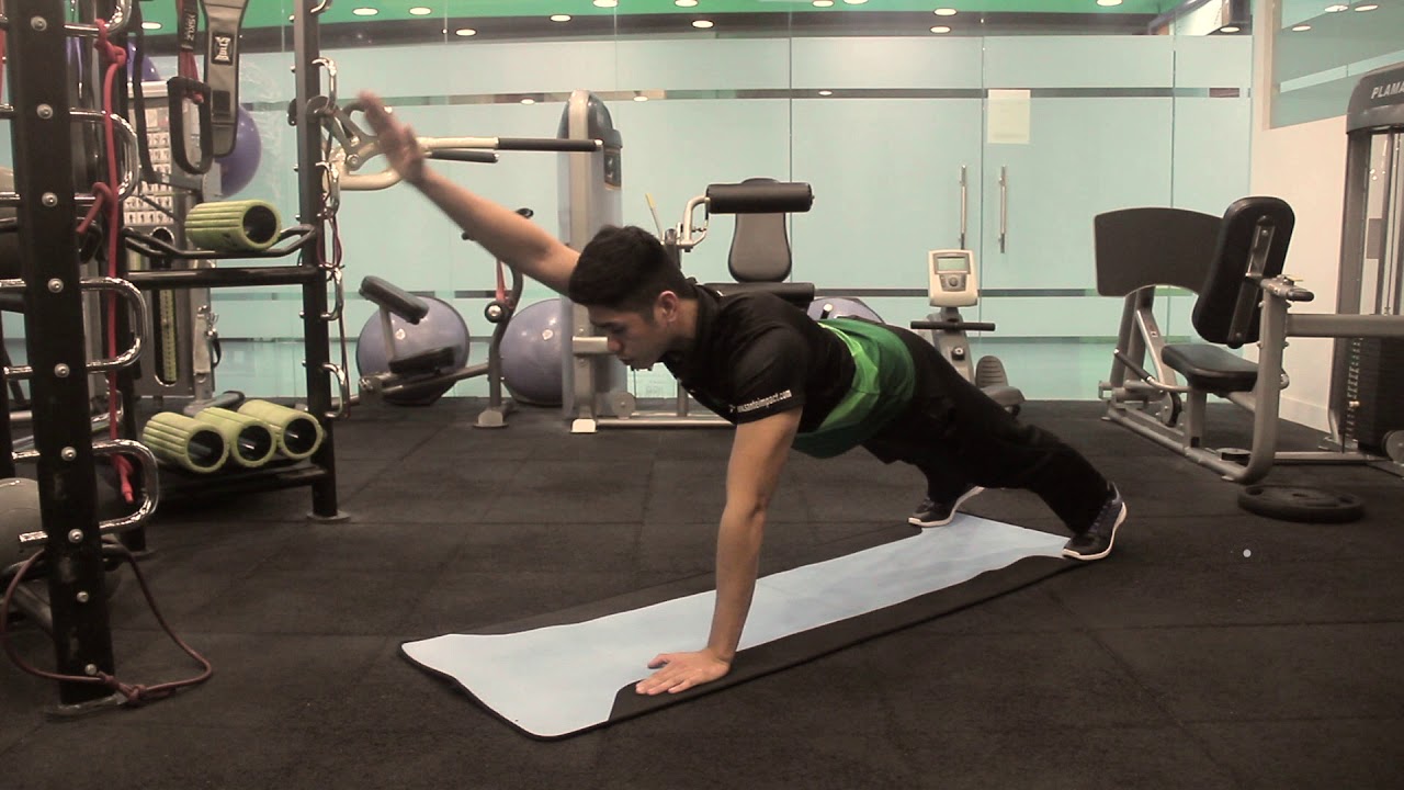 Fitbit of the Day: Advanced Bird Dog