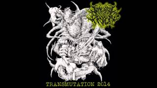 Internal Devour - Transmutation [Full Promo 2014]