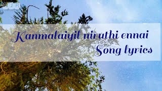 Kanmalaiyil niruthi ennai song lyrics/ Tamil Chris