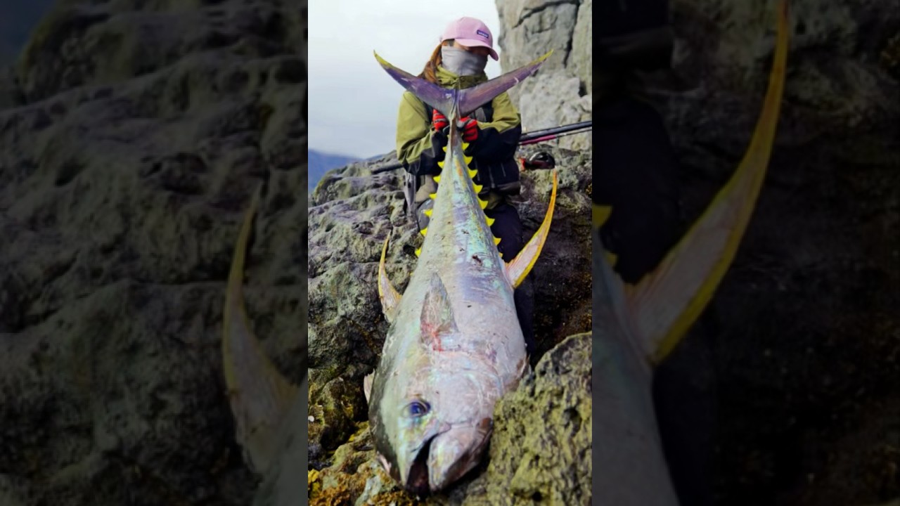 女が磯から超巨大なマグロを釣り上げた‼️ #釣り #fishing  #マグロ #fishingwoman #shorts #yellowfintuna