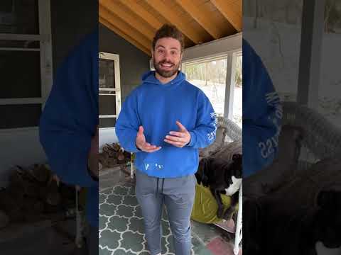 Supplement Synergies