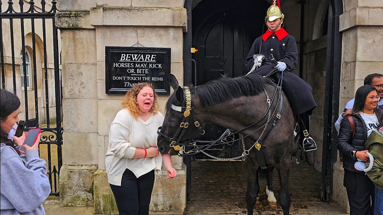 CANADIAN TOURIST GETS BADLY BITTEN - and shows everyone what can happen at Horse Guards!