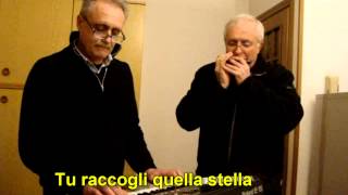 STELUTIS ALPINIS (F. De Gregori)  ARMONICA E TASTIERA