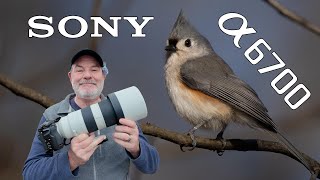 Sony a6700 Bird & Deer Photography 200-600 Zoom Lens!