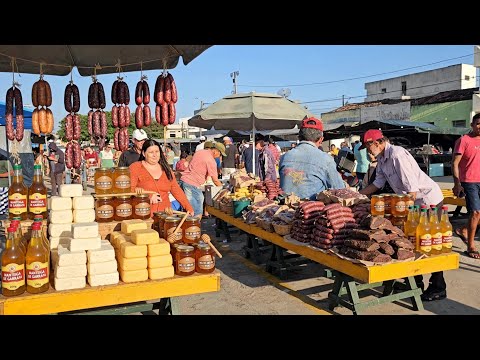 A MAIOR FEIRA DO QUEIJO DO BRASIL COM PREÇOS BAIXOS E EM CACHOEIRINHA-PE @reidoamendoim 