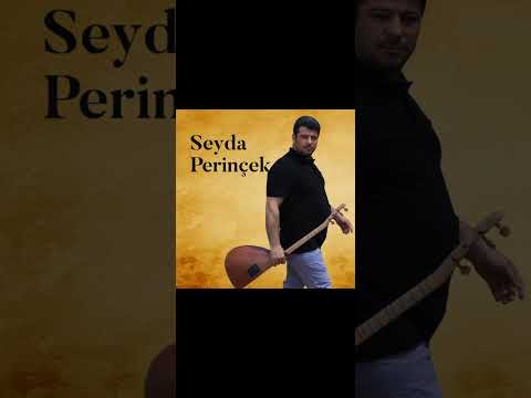 Seyda Perinçek çekel ne xuyaye