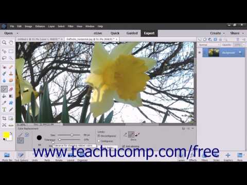 Photoshop Elements 15 Tutorial The Color Replacement...
