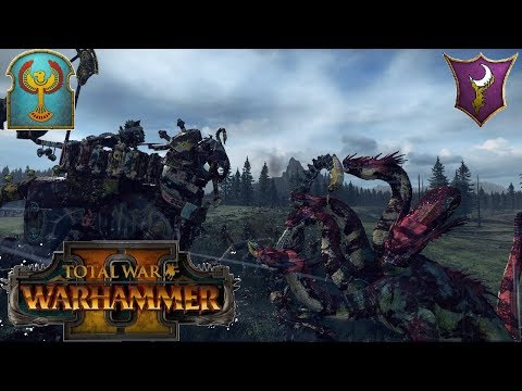 Settra vs Hydra! - Tomb Kings vs Dark Elves | Multiplayer Battle #140 | Total War Warhammer 2