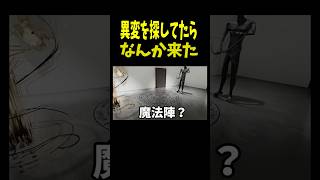 異変探しのゲームが異変しかなかったｗ　#ゲーム実況 　#oiiaoiiacat #shorts