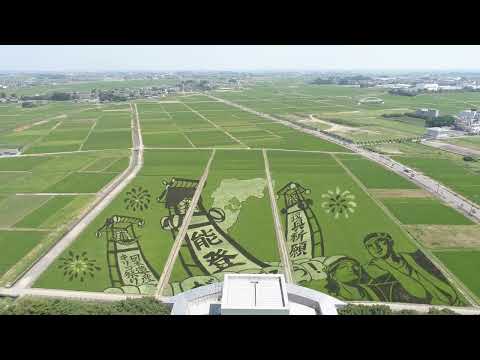 空から見た田んぼアート