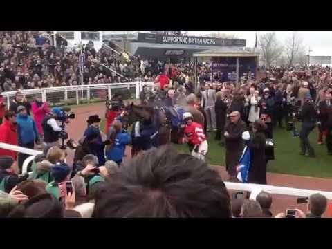 Coneygree returns to the winners enclosure after winning the 2015 Gold Cup..