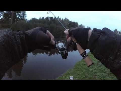 008 - 3 снасти 5 рыб