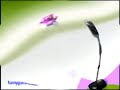 I KILLED Gummy Bear Show