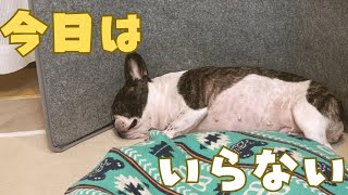 療養食食べないし事件勃発するし大変😱